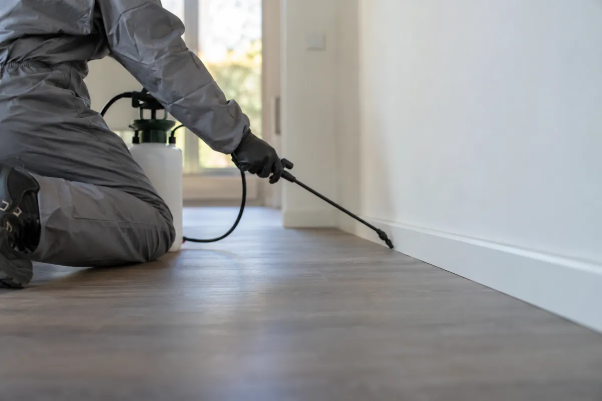 Technician in grey overalls spraying along a skirting board, face out of view