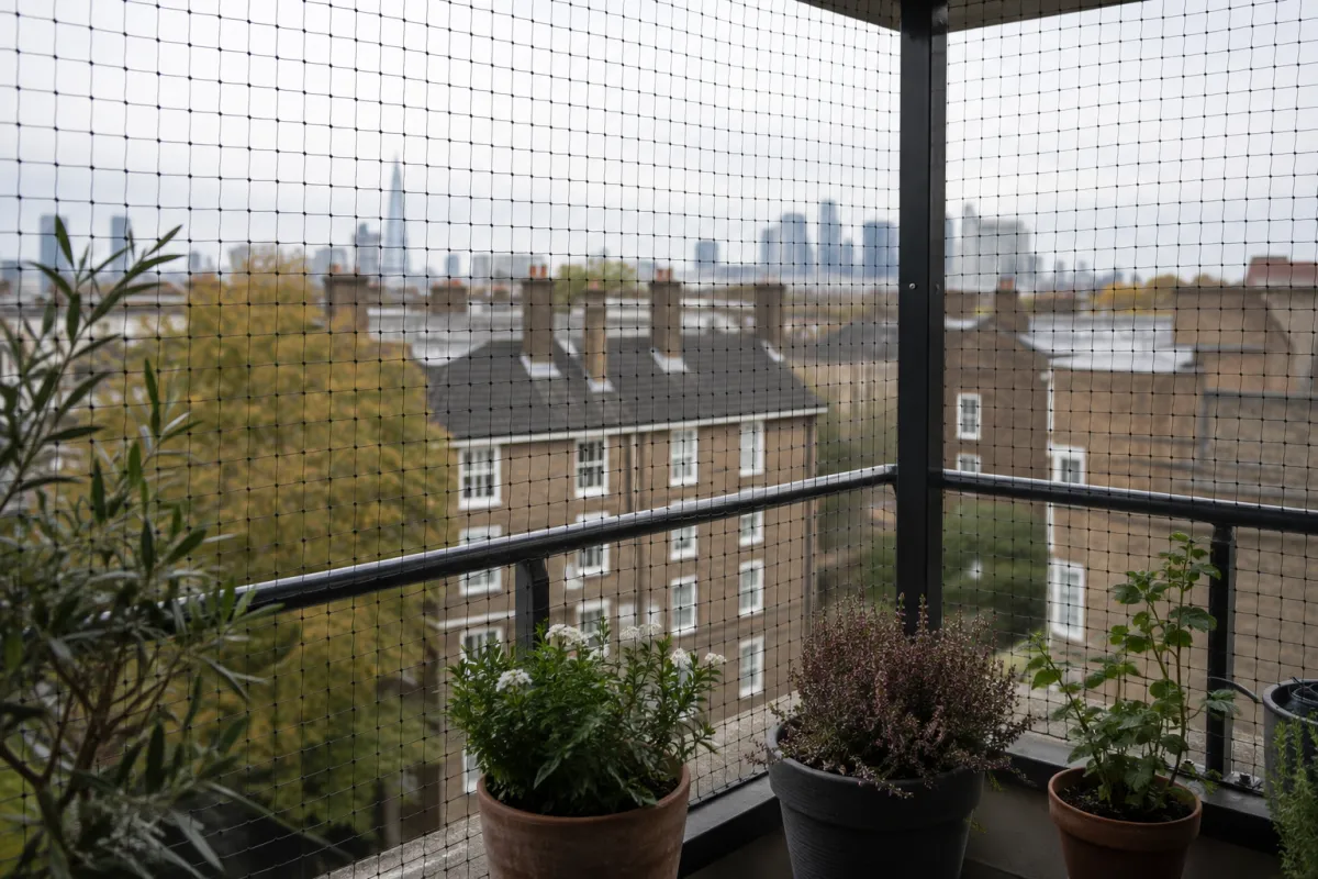 Flat balcony enclosed with black bird netting